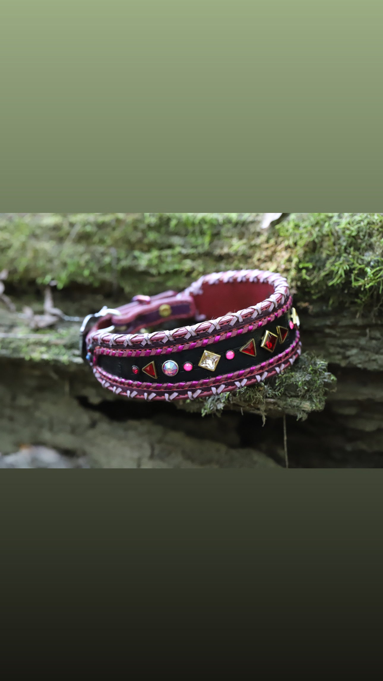 Used 23” dog collar