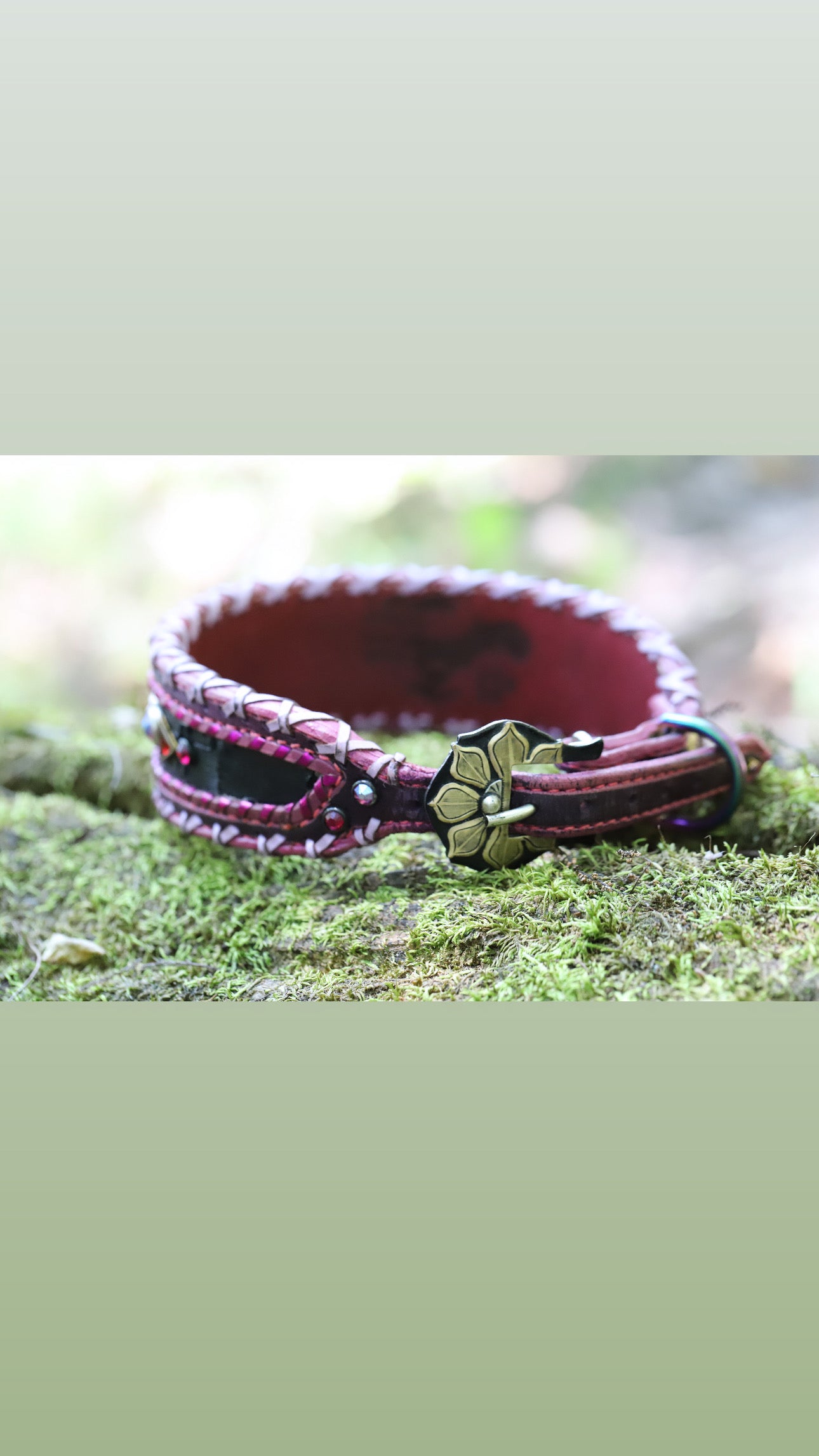 Used 23” dog collar
