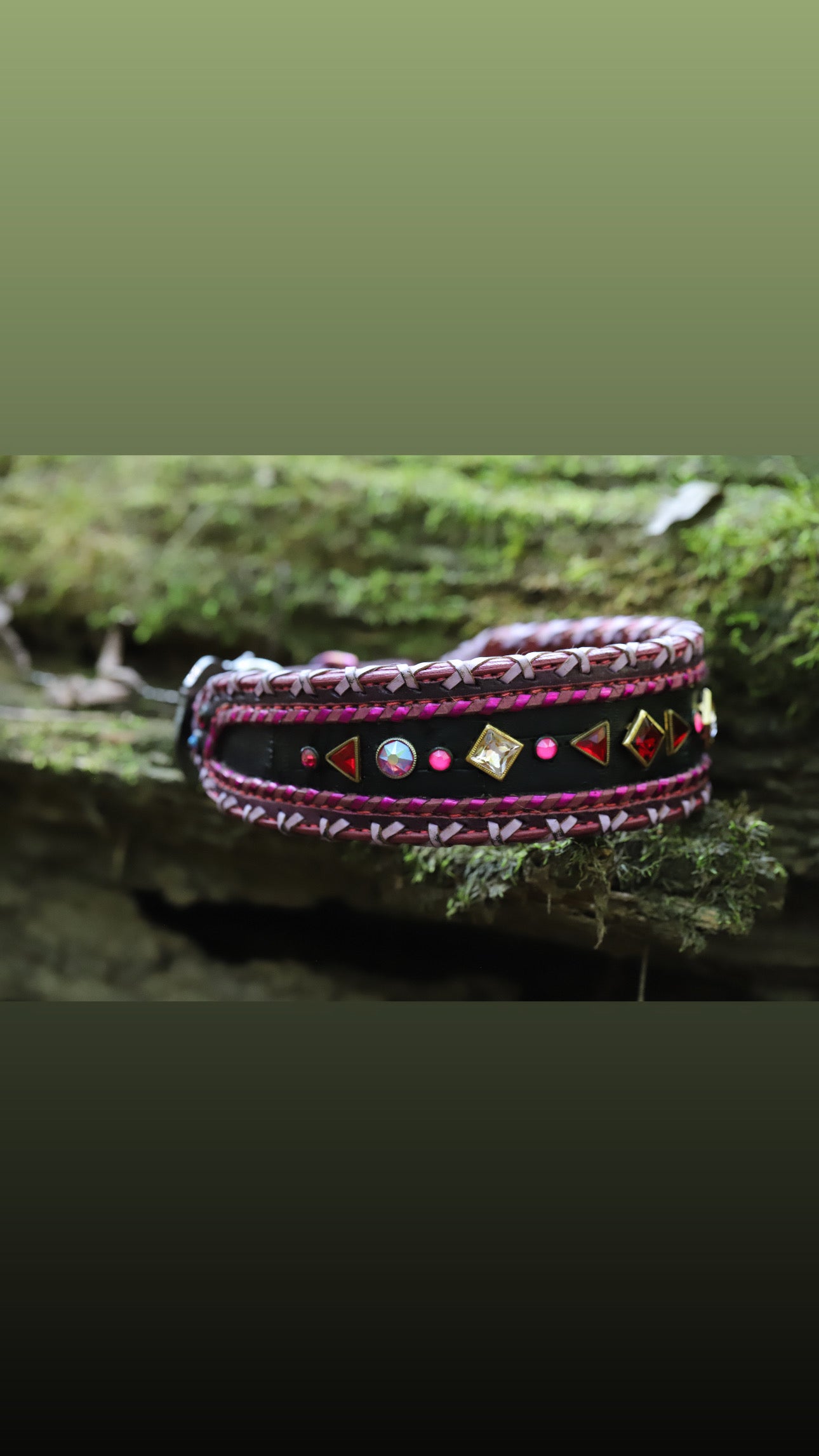 Used 23” dog collar