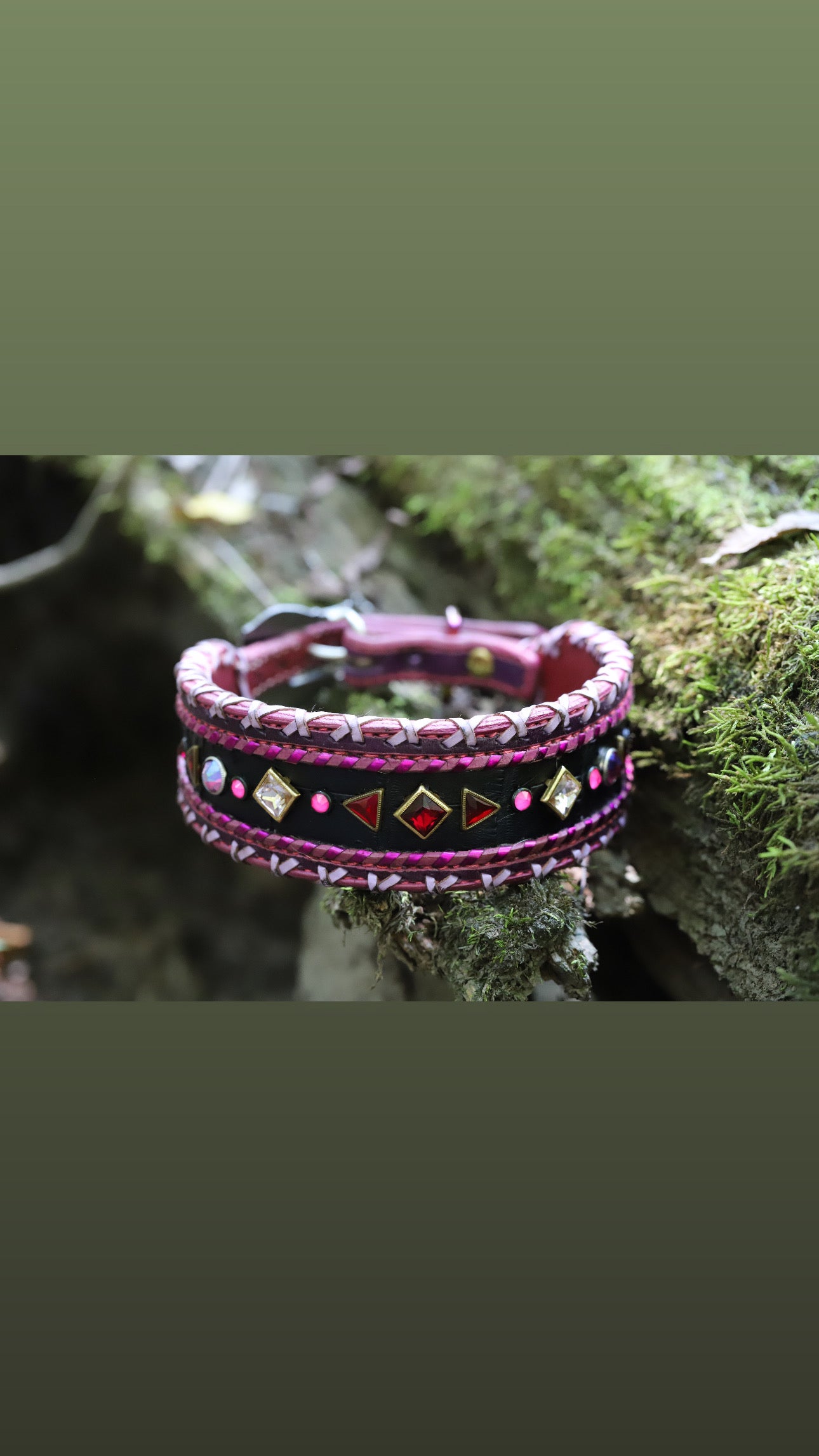 Used 23” dog collar