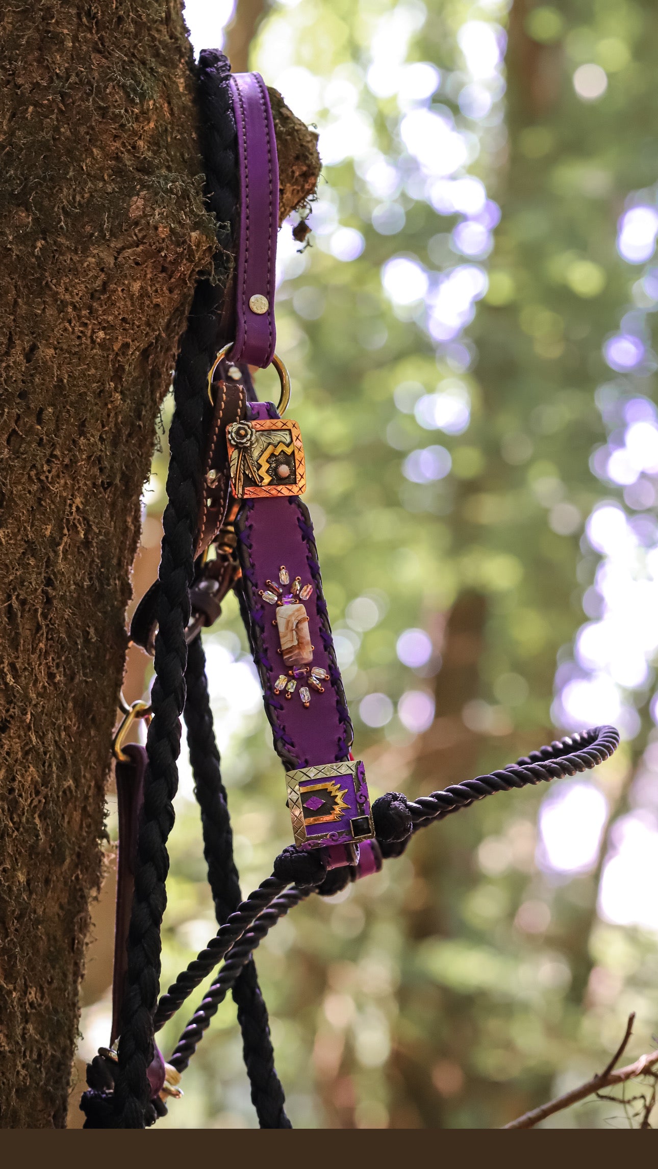 πβ¨πAmethyst Sunsets πβ¨π